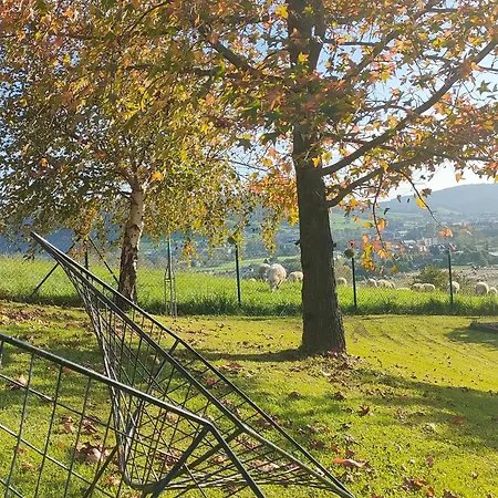 El Mirador De Tono , Casa Entera Dom wakacyjny Viono