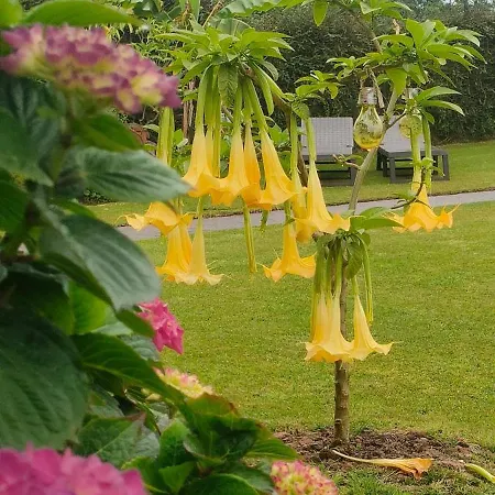 El Mirador De Tono , Casa Entera