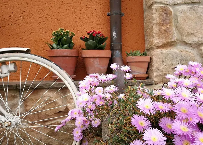 El Mirador De Tono , Casa Entera Дом отдыха *