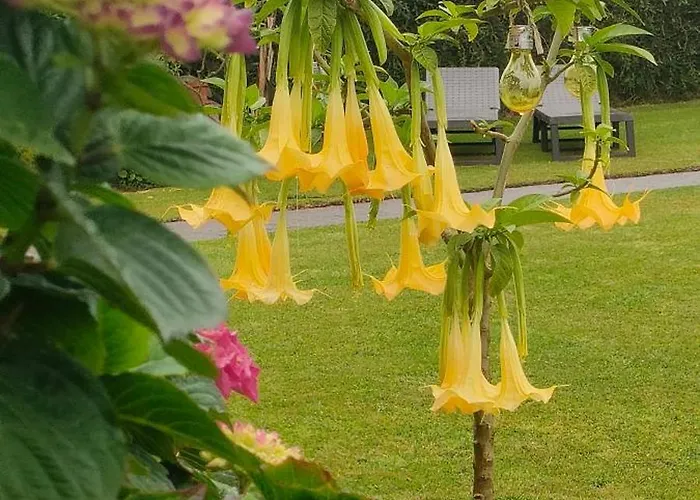 El Mirador De Tono , Casa Entera